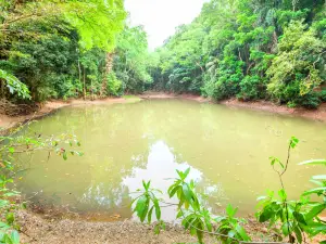 Udawatta Kele Sanctuary