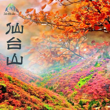 仙台山 · 石家庄市 · AAA级景点