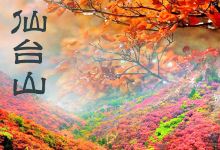 仙台山景点图片