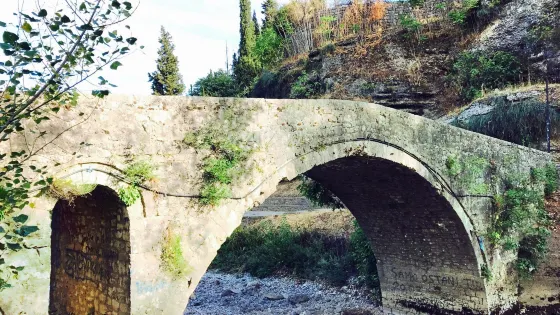 Ribnica Bridge (Most na Ribnici)