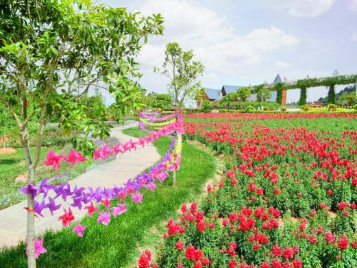 中国香山寿香谷