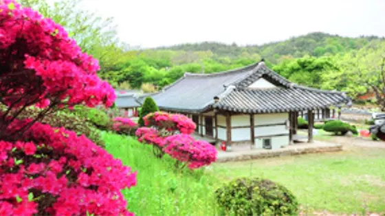 月峯書院