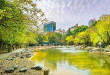 桂花公园景点图片