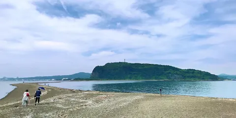知林島