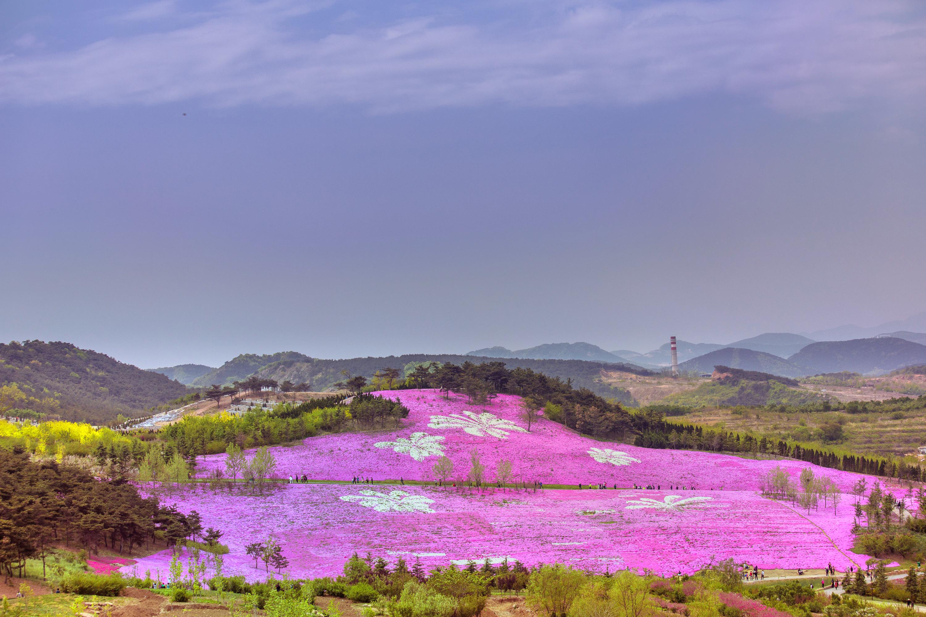 英歌石植物园
