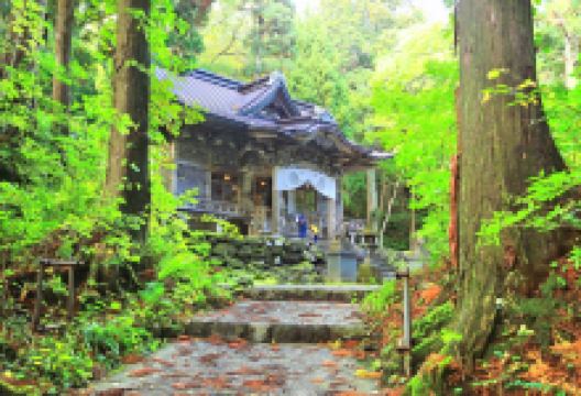 十和田神社景点图片