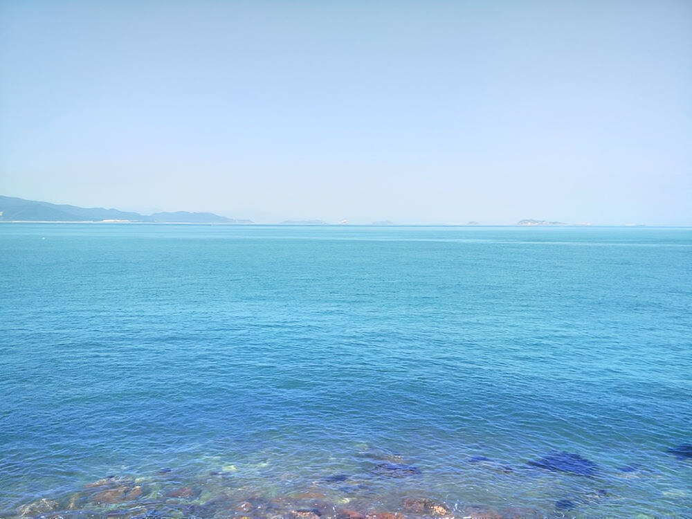 龙海天