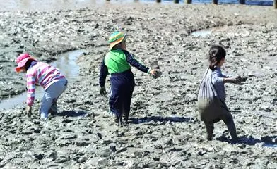 務安生態泥灘中心