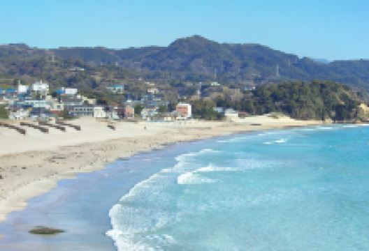 伊豆白滨海岸景点图片