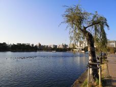 大濠公园-福冈-素素77