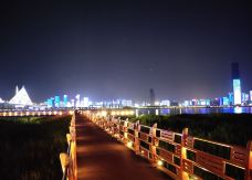 汉口江滩-武汉-秒懂风景