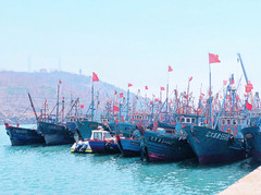 旅顺口区游记图片] 大连春天周边游好去处|老铁山黄渤海分界线