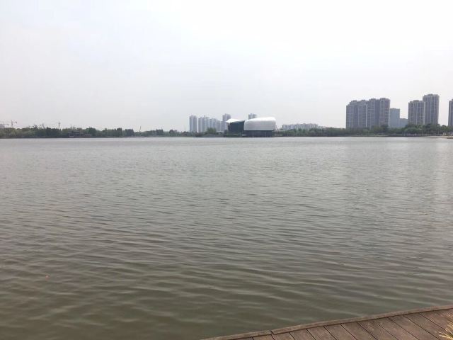 天镜湖公园旅行图片 4