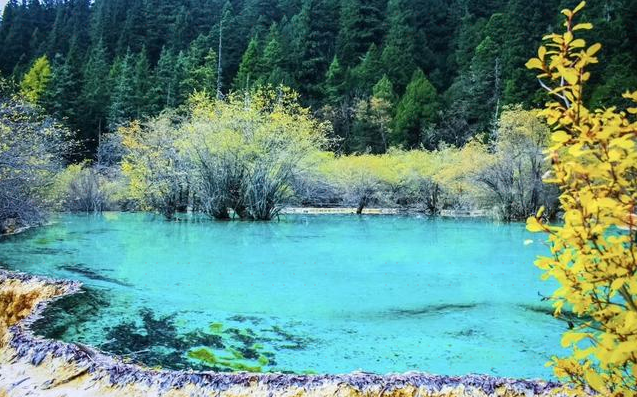 黄龙国家重点风景名胜区-簸箕海