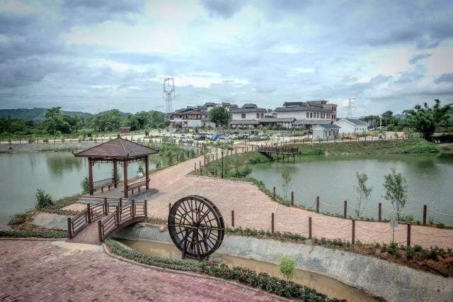 大明山万古茶园旅行图片 3