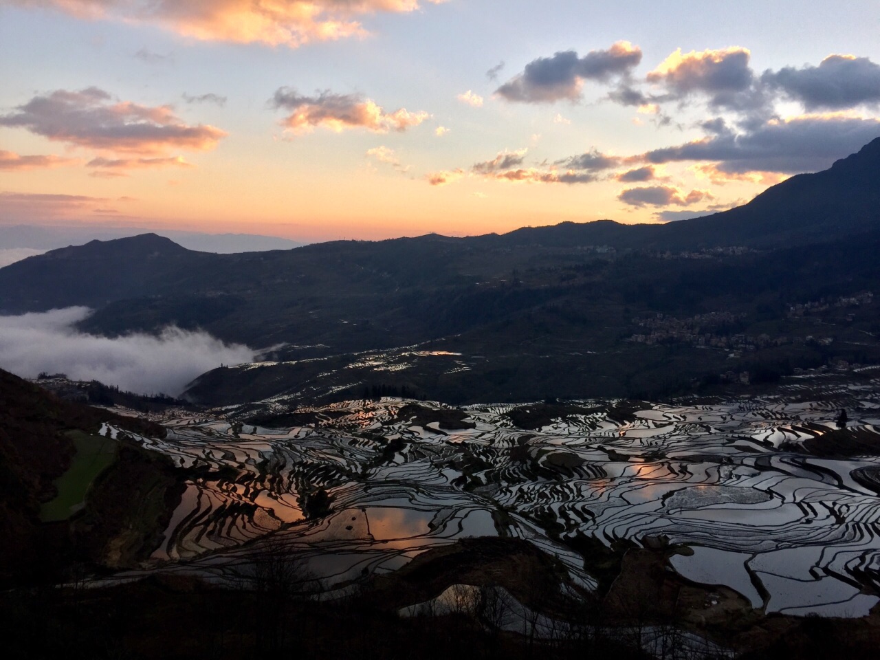 1月份的元阳梯田就是个调色盘