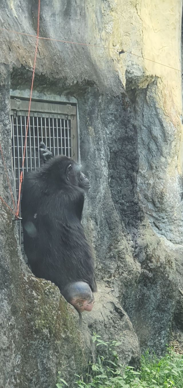 Taipei Zoo