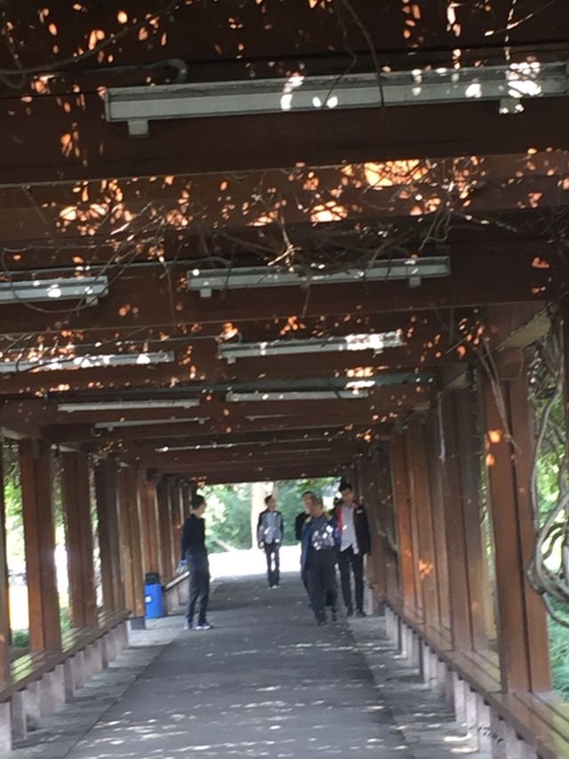 尚湖風景區