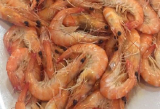 Seaside Dampa购物图片