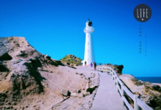 曼努考角灯塔景点图片