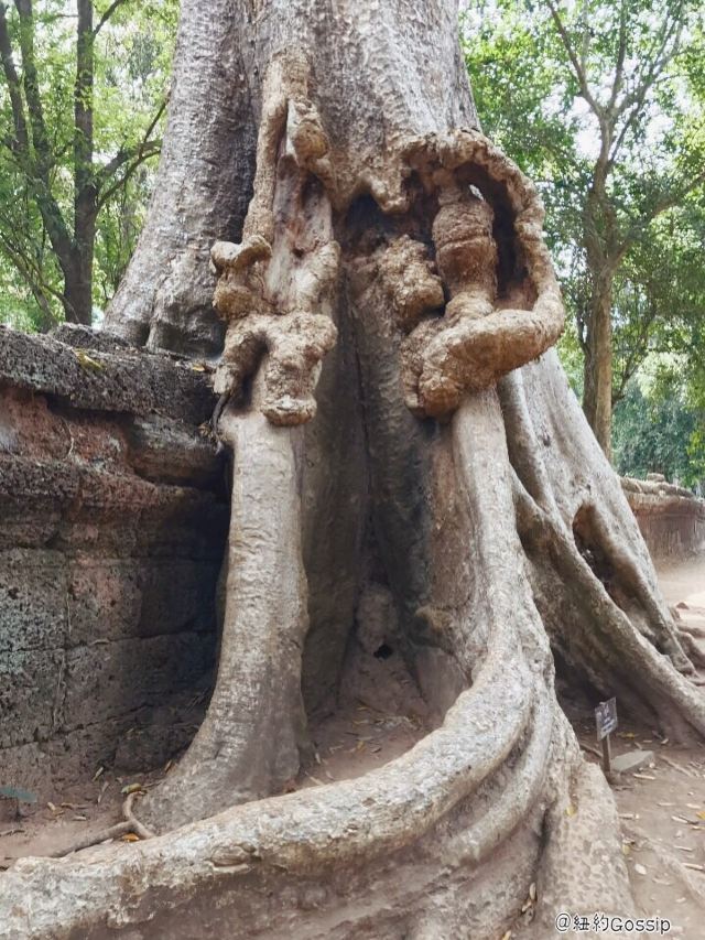 Ta Prohm
