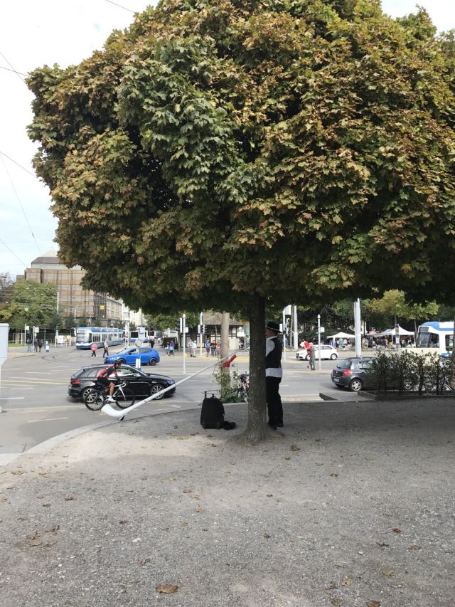 Flohmarkt Burkliplatz