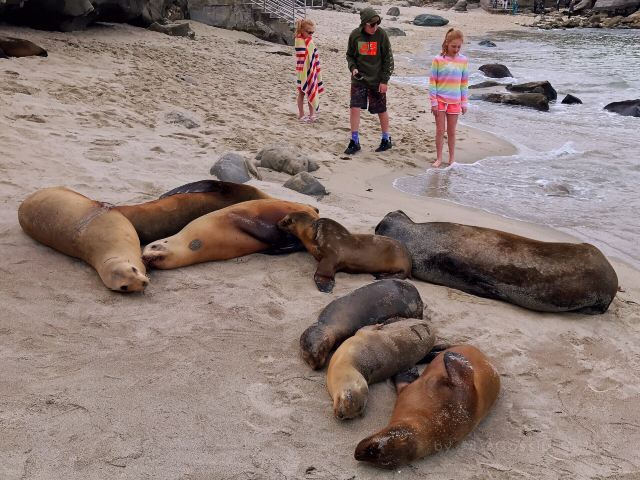 La Jolla Cove