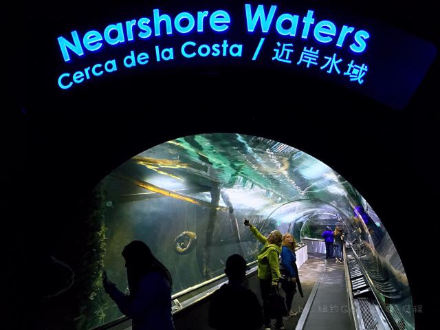 海灣水族館