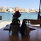Arismari Cretan Creative Cuisine
