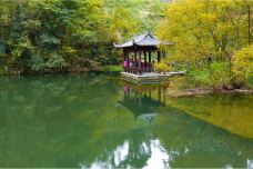 禅源寺-杭州-doris圈圈
