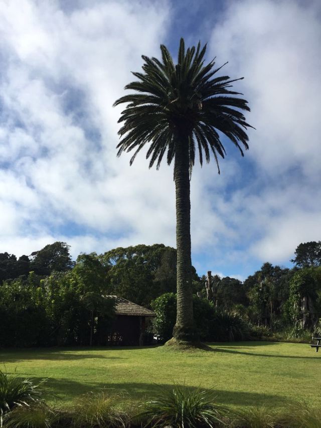Auckland Zoo