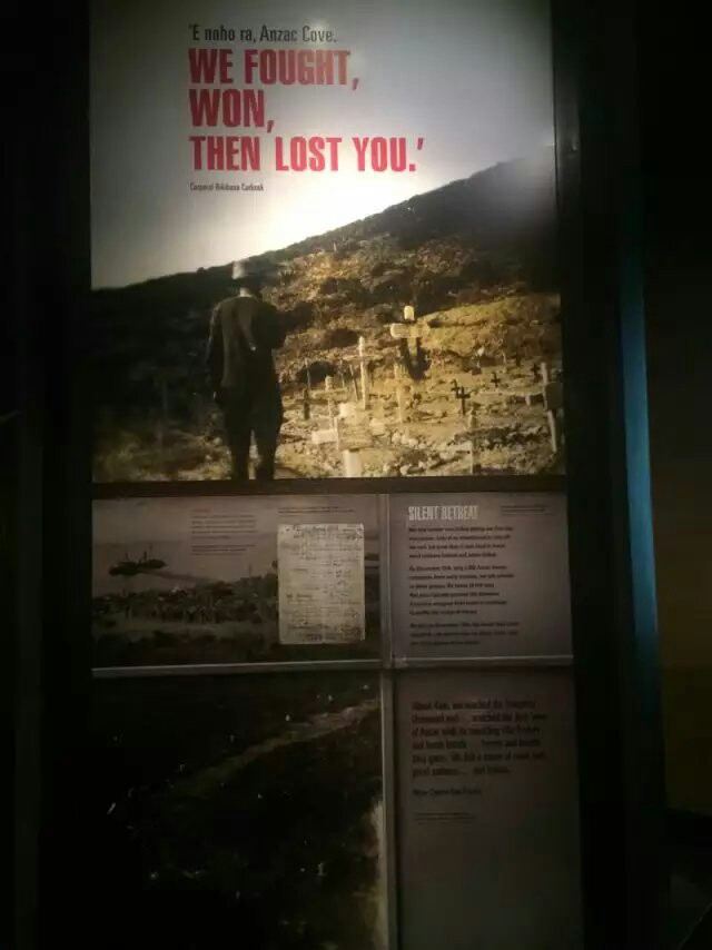 Museum of New Zealand (Te Papa Tongarewa)