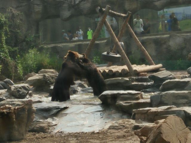 Beijing Zoo