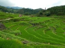 欧家梯田-连山-YoYo_4Q0D7V8S