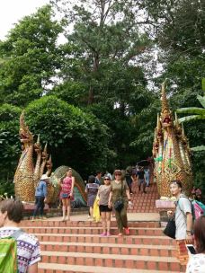 素贴山国家公园-清迈-_WeCh****37345