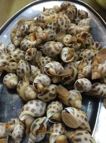 Wu Xiaopang Seafood Processing Shop