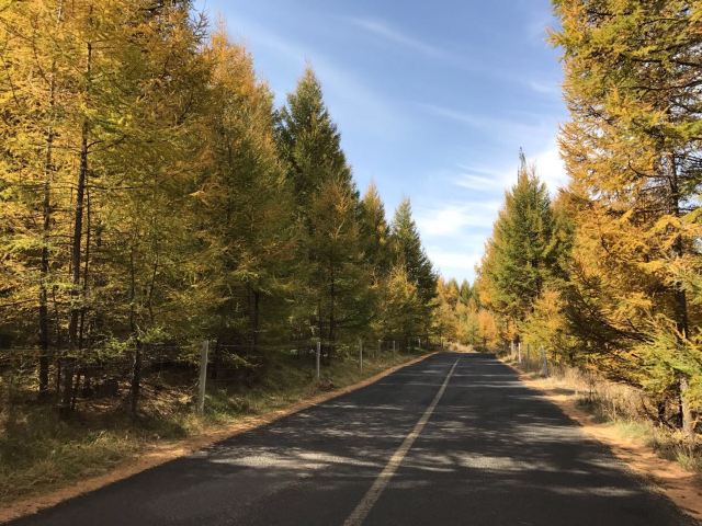 草原天路