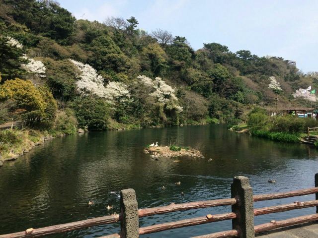 천지연 폭포