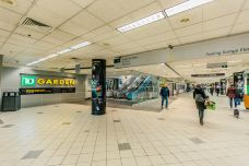 波士顿-doris圈圈