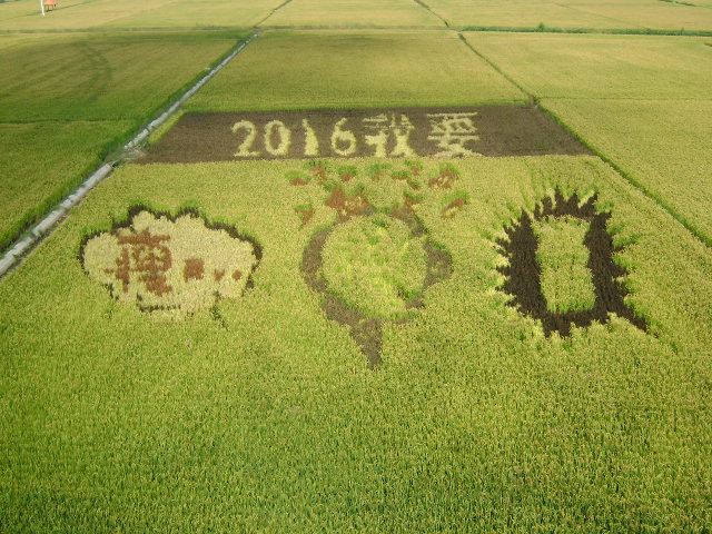 稻夢空間
