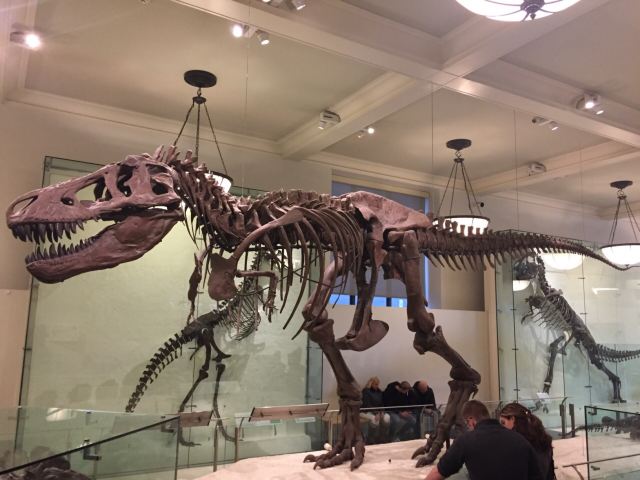 American Museum of Natural History