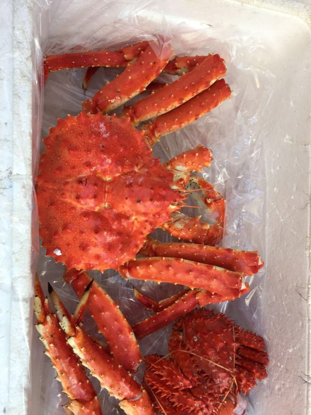 츠키지 수산시장