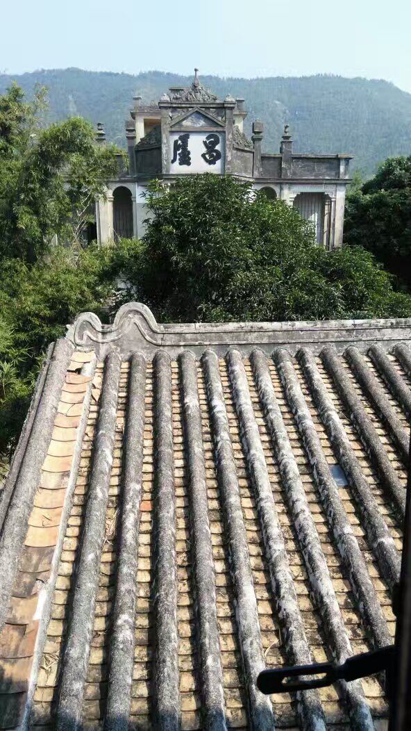 Ma-Xianglong Towers Group