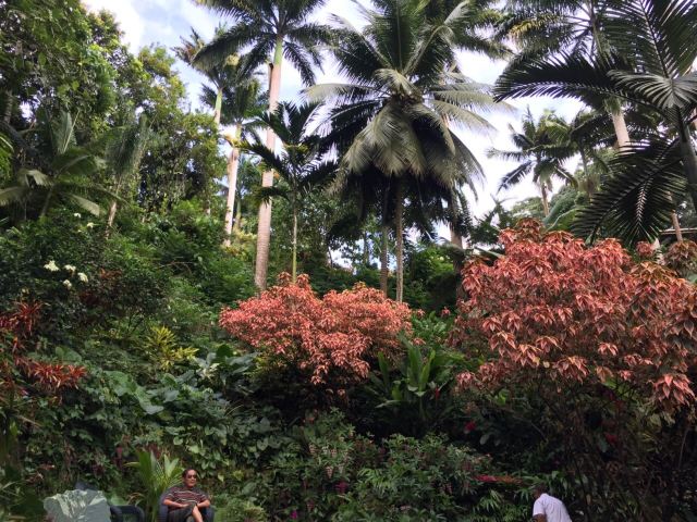 Hunte's Gardens