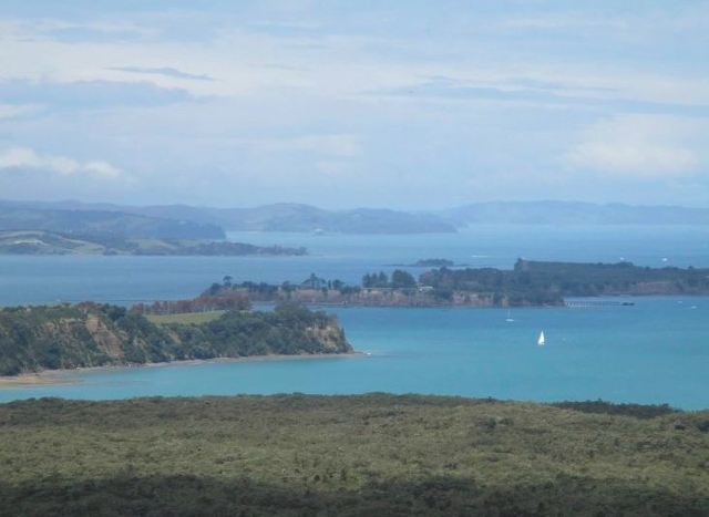 Rangitoto Island