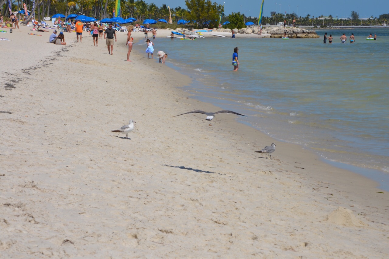 迈阿密西棕榈海滩