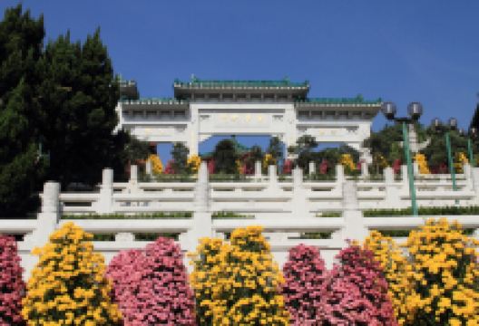 圆玄学院景点图片