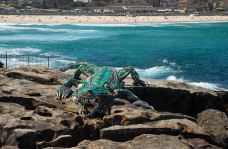 海边雕塑展-Bondi Beach-doris圈圈