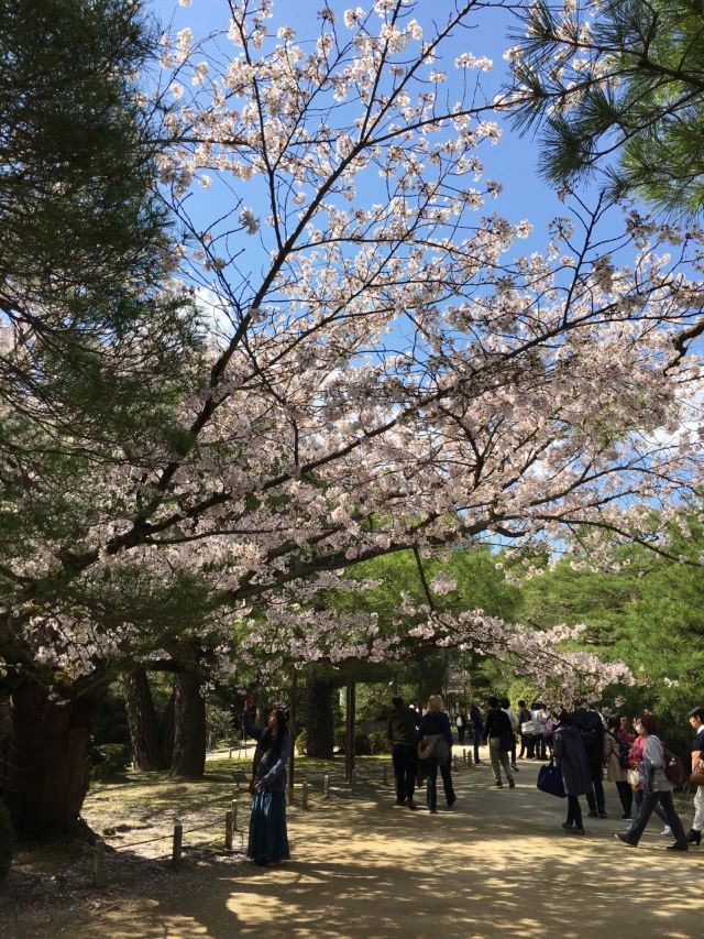 Heian Shrine