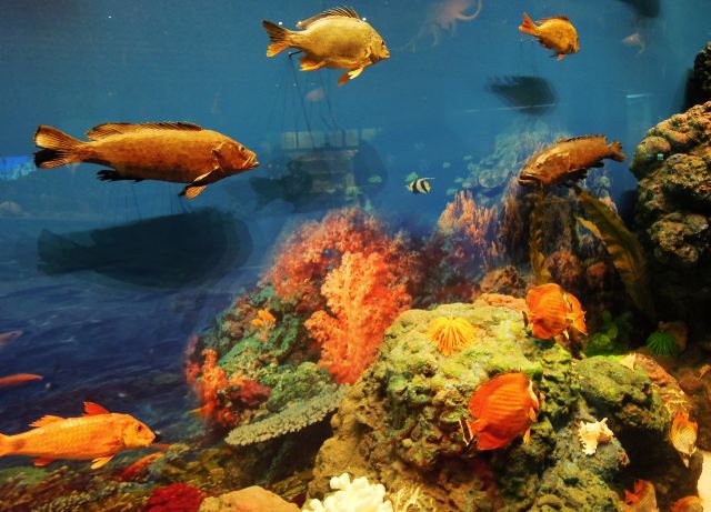 Tianjin Natural History Museum
